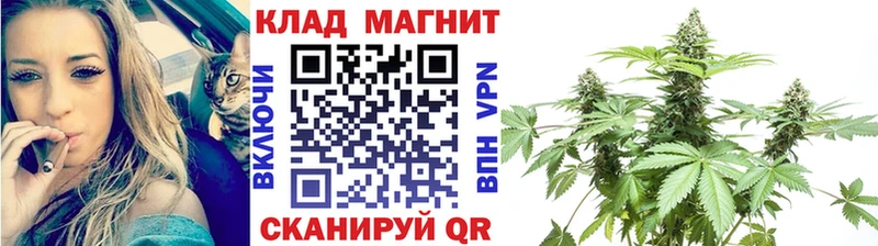 Купить закладку Кокаин  Амфетамин  Гашиш  Каннабис  Галлюциногенные грибы  МЕФ  Щёлкино