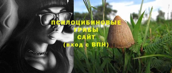 гидра Елабуга