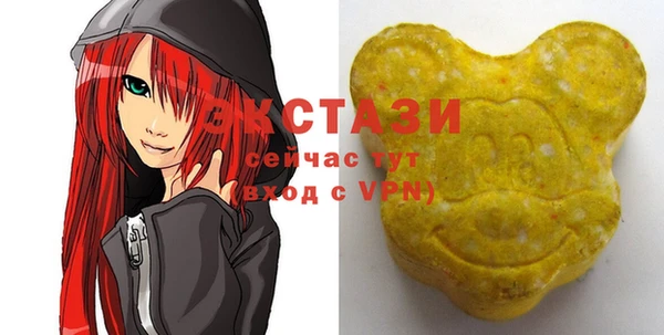 гидра Елабуга