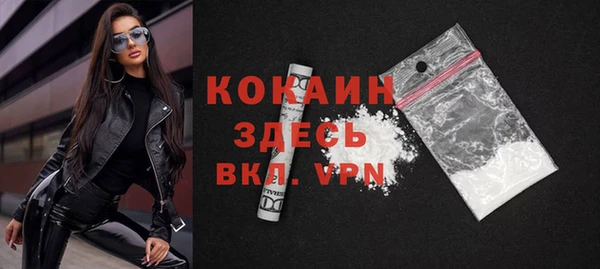 сатива Елизово
