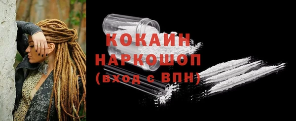мескалин Ельня