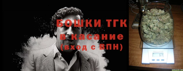 сатива Елизово