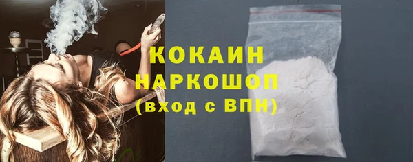 сатива Елизово