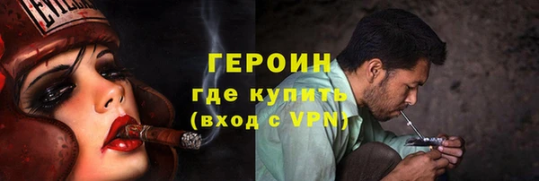 гидра Елабуга