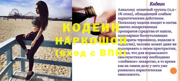 сатива Елизово
