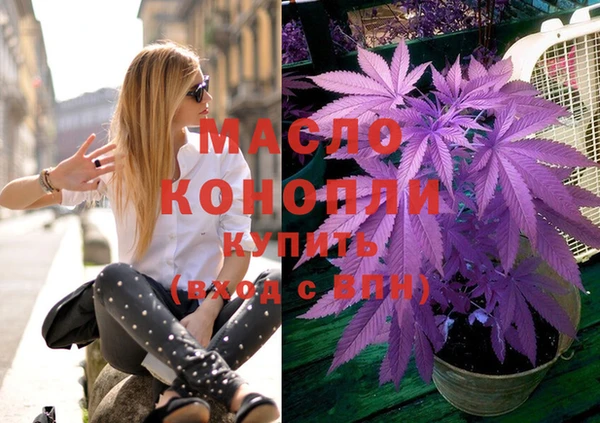 сатива Елизово