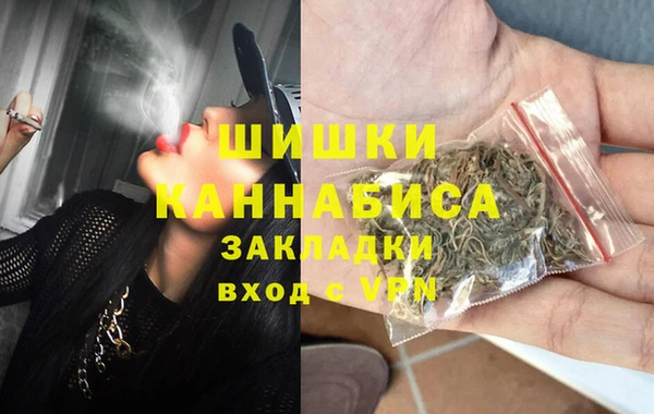 гидра Елабуга