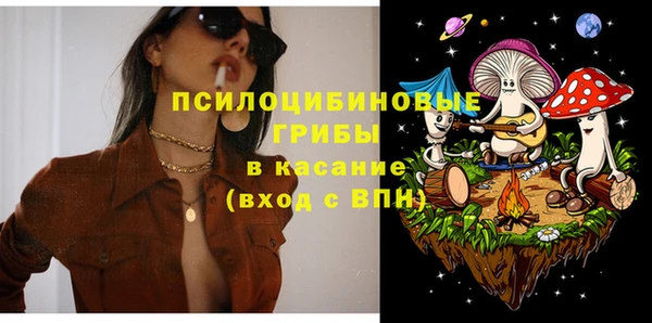 сатива Елизово