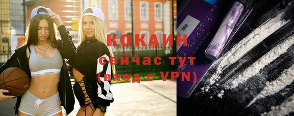 мескалин Ельня