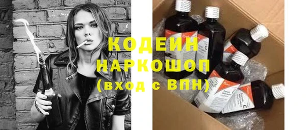гидра Елабуга