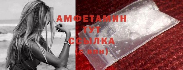 сатива Елизово