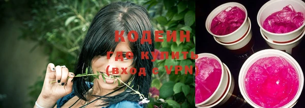 сатива Елизово